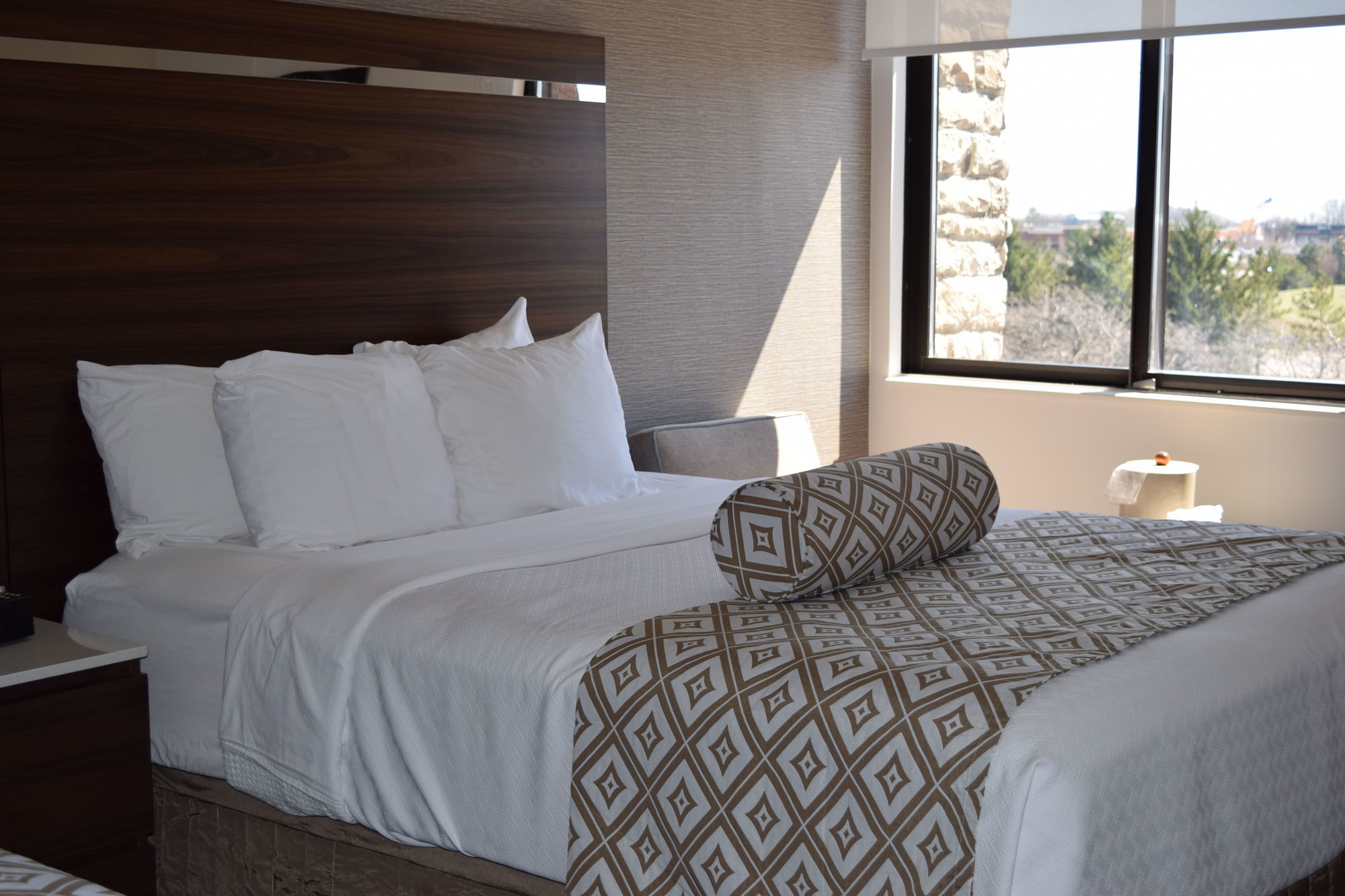 Four Points By Sheraton Detroit Novi Pokoj fotografie